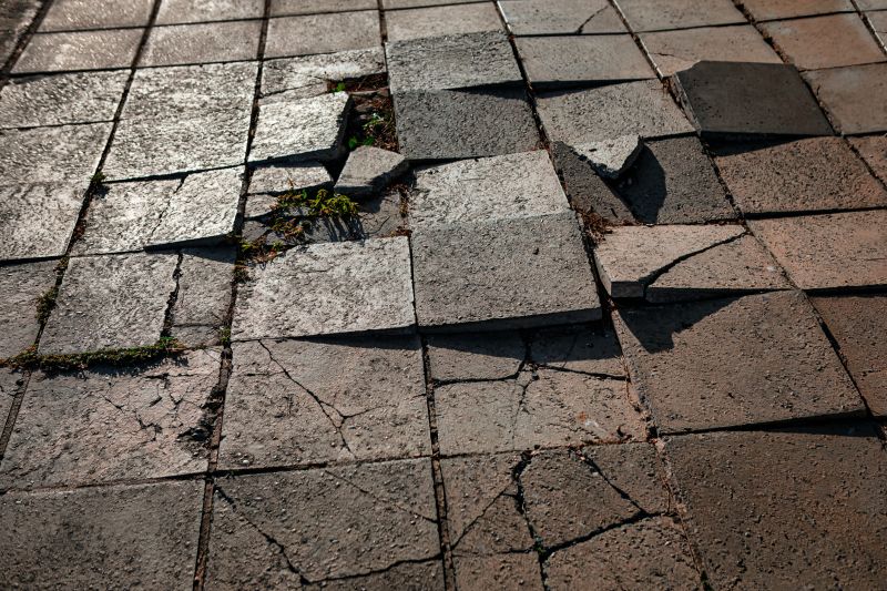 Paver Repair Work