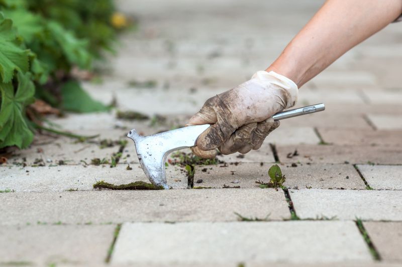 Pavers Maintenance Service